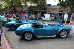 Danville_Concours_2014_MRD_042