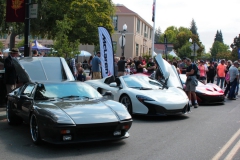 Danville_Concours_2014_MRD_068