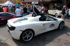 Danville_Concours_2014_MRD_069