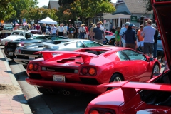 Danville_Concours_2014_MRD_133