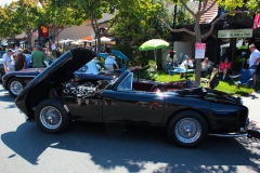 Danville_Concours_2014_MRD_153