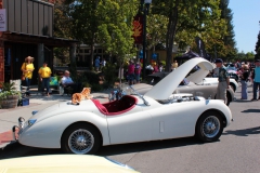 Danville_Concours_2014_MRD_166