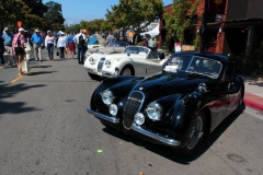 Danville_Concours_2014_MRD_170