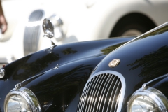 Danville_Concours_2014_MRD_171