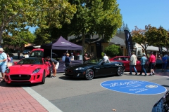 Danville_Concours_2014_MRD_178