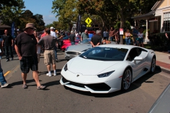 Danville_Concours_2014_MRD_193