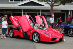 Danville_Concours_2014_MRD_197