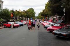 Danville_Concours_2014_MRD_208