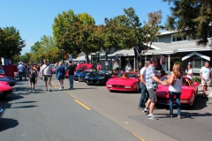 Danville_Concours_2014_MRD_213