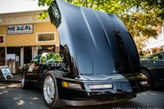 Danville_Concours_2014_Shuler_054