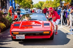 Danville_Concours_2014_Shuler_072