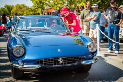 Danville_Concours_2014_Shuler_073