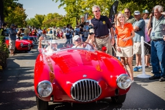 Danville_Concours_2014_Shuler_075