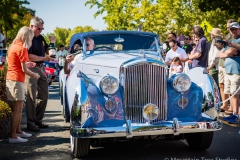 Danville_Concours_2014_Shuler_077