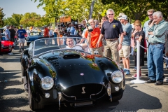 Danville_Concours_2014_Shuler_078