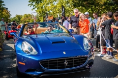 Danville_Concours_2014_Shuler_082